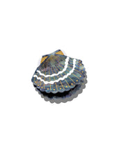 Load image into Gallery viewer, Hand-painted Seashell Claw Hair Clip | Eco-Friendly Solar Eclipse Ocean Blue - Limited Edition