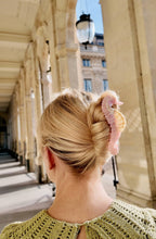 Load image into Gallery viewer, Hand-painted Seahorse Claw Hair Clip Solar Eclipse