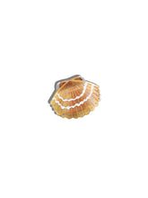 Load image into Gallery viewer, Hand-painted Seashell Claw Hair Clip | Eco-Friendly Solar Eclipse