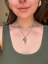 Load image into Gallery viewer, Chomp Necklace Fossil and Hide 
