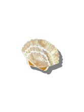 Load image into Gallery viewer, Hand-painted Seashell Claw Hair Clip | Eco-Friendly Solar Eclipse Golden Sand 
