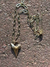 Load image into Gallery viewer, Chomp Necklace Fossil and Hide 
