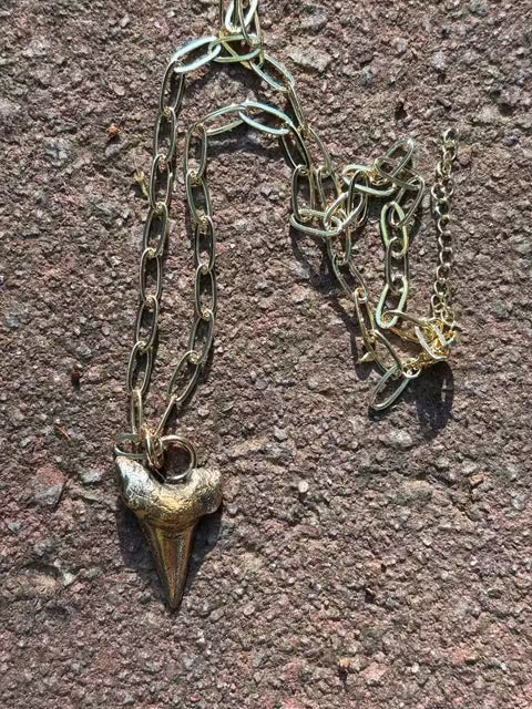Chomp Necklace Fossil and Hide 
