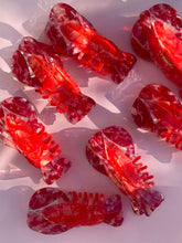 Load image into Gallery viewer, Lobster Claw Clip // Cellulose Acetate Line &amp; Co 
