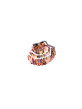 Load image into Gallery viewer, Hand-painted Seashell Claw Hair Clip | Eco-Friendly Solar Eclipse 

